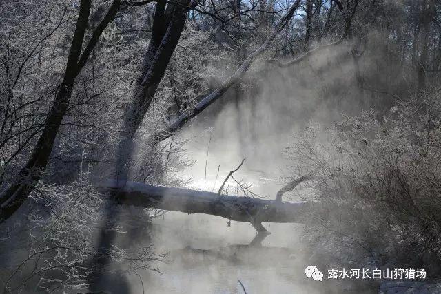 赤水市白云乡:“三抓”举措巩固支部标准化建设